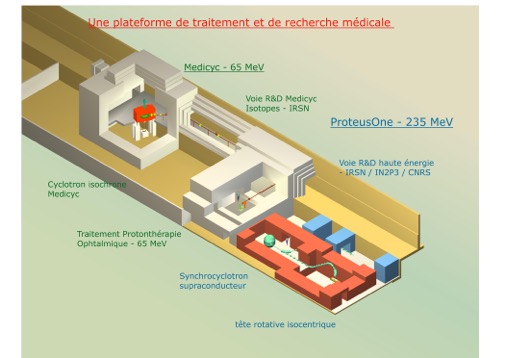 proteus